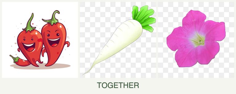 Can you plant peppers, radishes and petunias together?