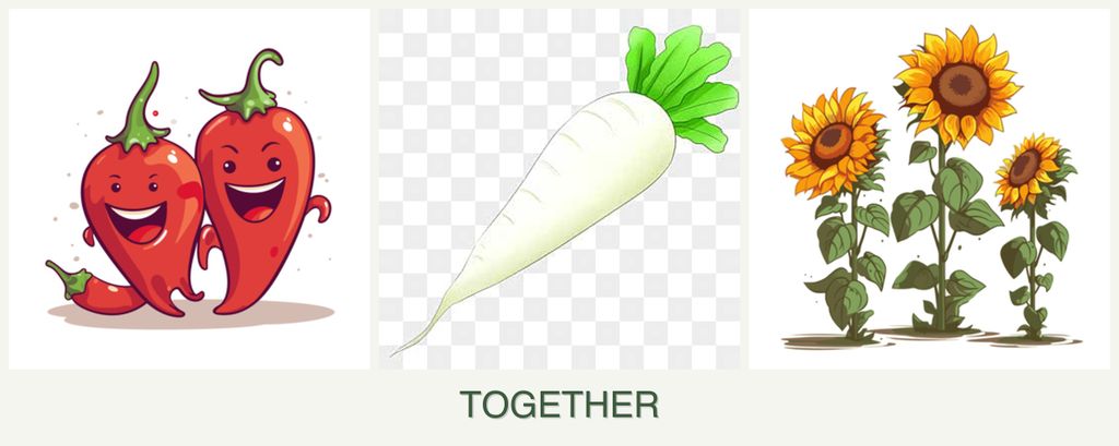 Can you plant peppers, radishes and sunflowers together?