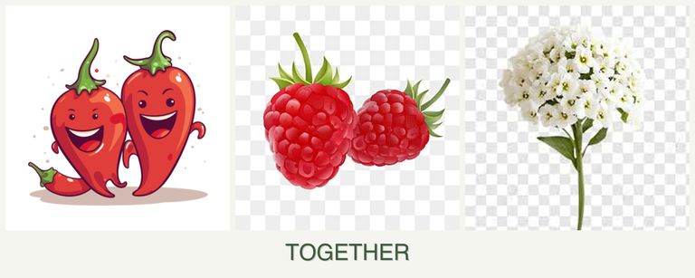 Can you plant peppers, raspberries and alyssum together?