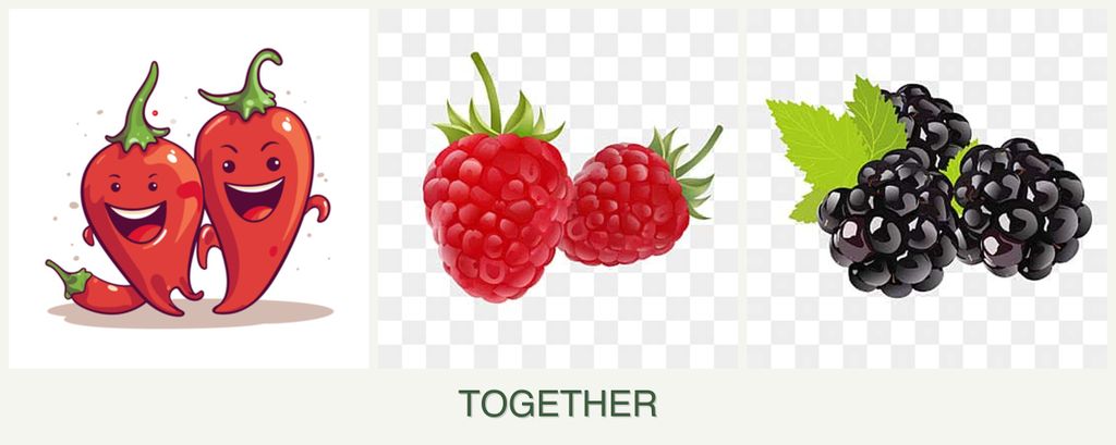 Can you plant peppers, raspberries and blackberries together?
