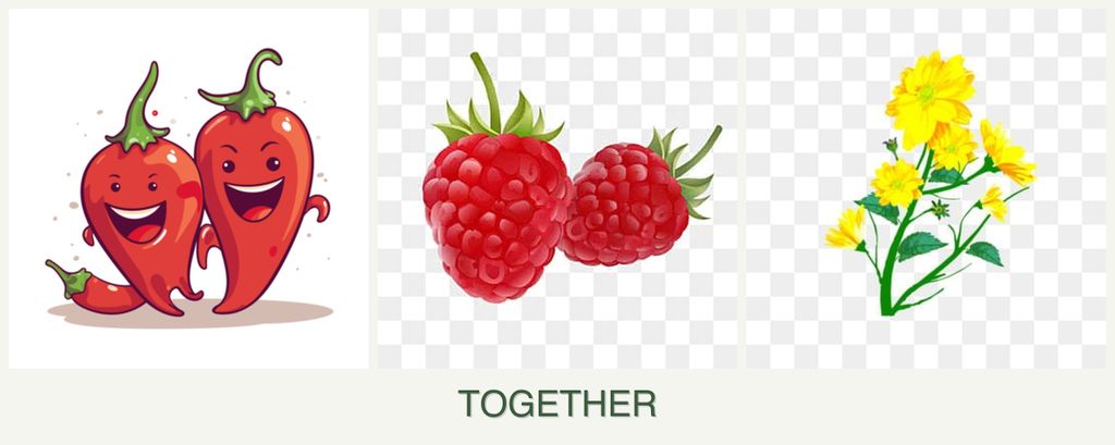 Can you plant peppers, raspberries and calendula together?