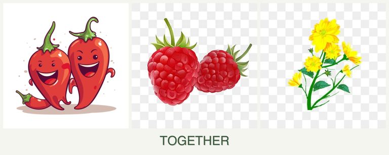 Can you plant peppers, raspberries and calendula together?