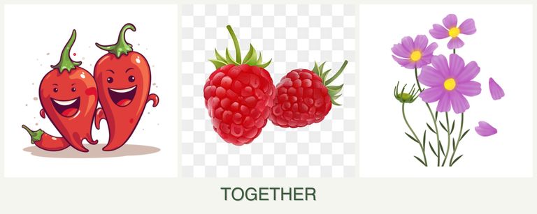 Can you plant peppers, raspberries and cosmos together?