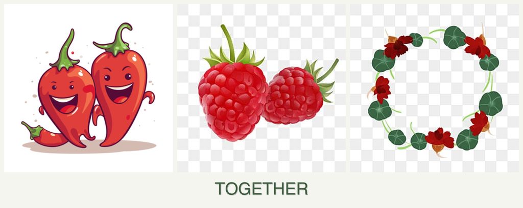 Can you plant peppers, raspberries and nasturtiums together?