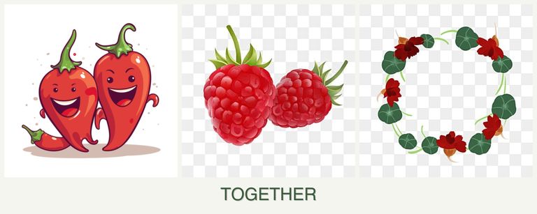 Can you plant peppers, raspberries and nasturtiums together?