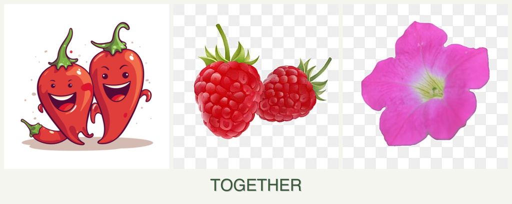 Can you plant peppers, raspberries and petunias together?