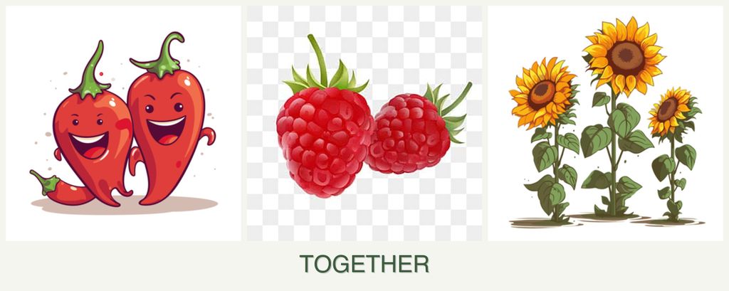 Can you plant peppers, raspberries and sunflowers together?