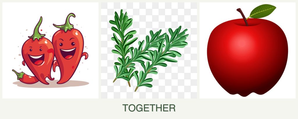 Can you plant peppers, rosemary and apples together?