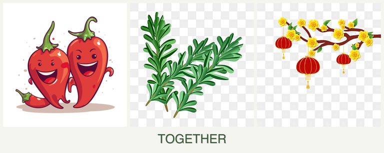 Can you plant peppers, rosemary and apricots together?
