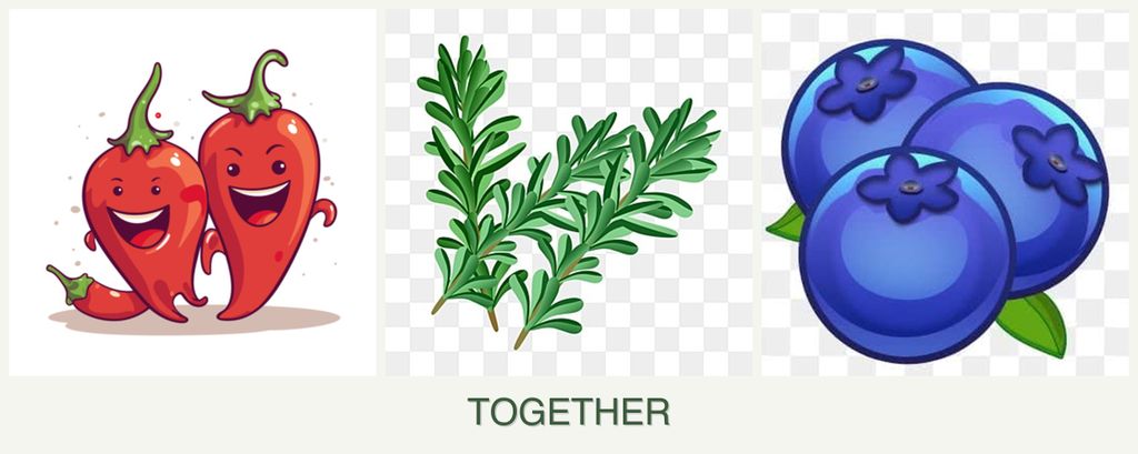 Can you plant peppers, rosemary and blueberries together?