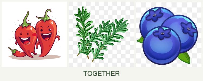 Can you plant peppers, rosemary and blueberries together?