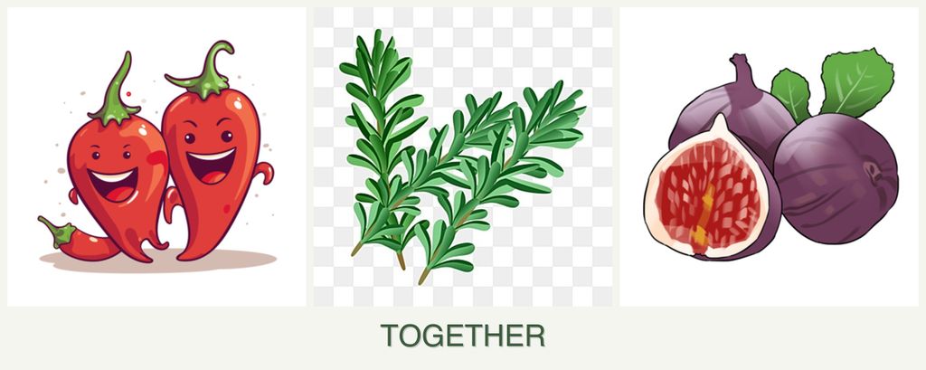 Can you plant peppers, rosemary and figs together?