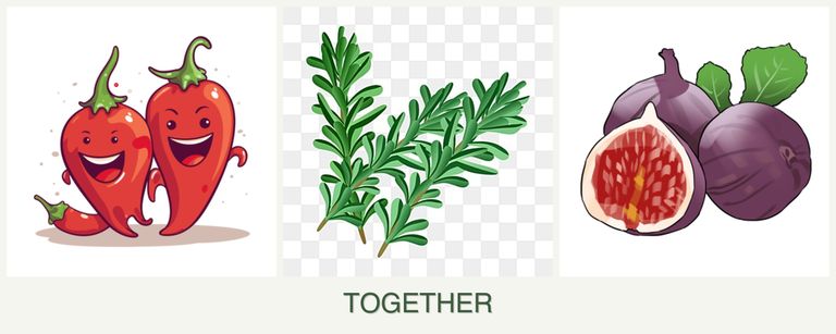 Can you plant peppers, rosemary and figs together?