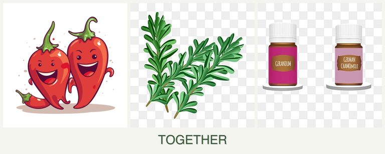 Can you plant peppers, rosemary and geraniums together?