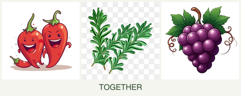 Can you plant peppers, rosemary and grapes together?