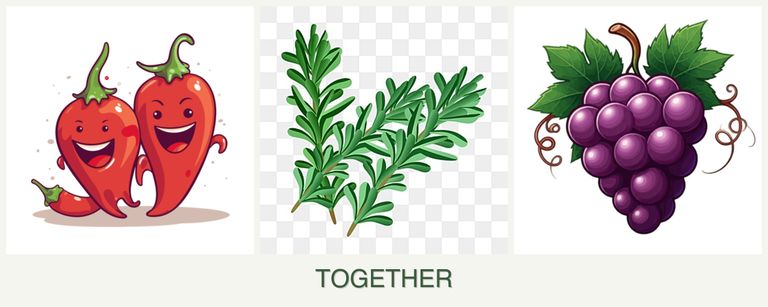 Can you plant peppers, rosemary and grapes together?