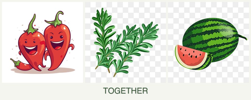 Can you plant peppers, rosemary and melons together?
