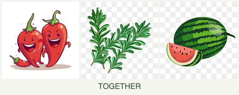 Can you plant peppers, rosemary and melons together?