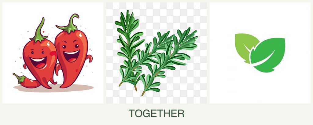 Can you plant peppers, rosemary and mint together?