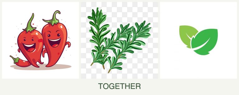 Can you plant peppers, rosemary and mint together?
