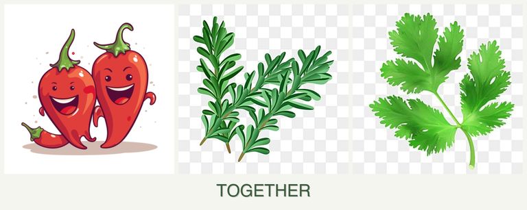 Can you plant peppers, rosemary and parsley together?