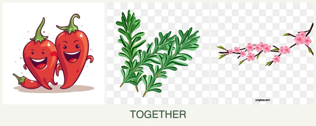 Can you plant peppers, rosemary and peaches together?