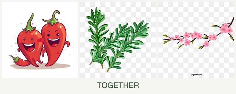 Can you plant peppers, rosemary and peaches together?