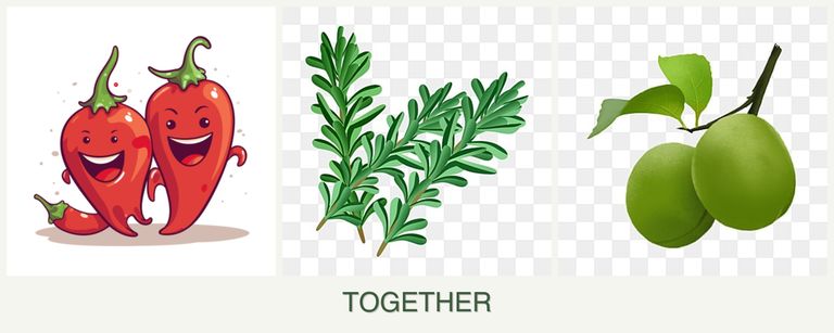 Can you plant peppers, rosemary and plums together?