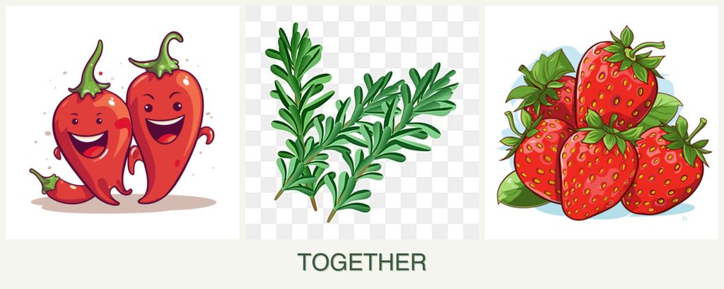 Can you plant peppers, rosemary and strawberries together?