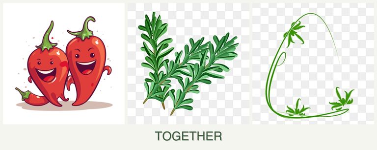 Can you plant peppers, rosemary and tarragon together?