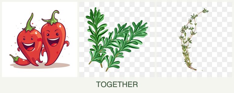 Can you plant peppers, rosemary and thyme together?