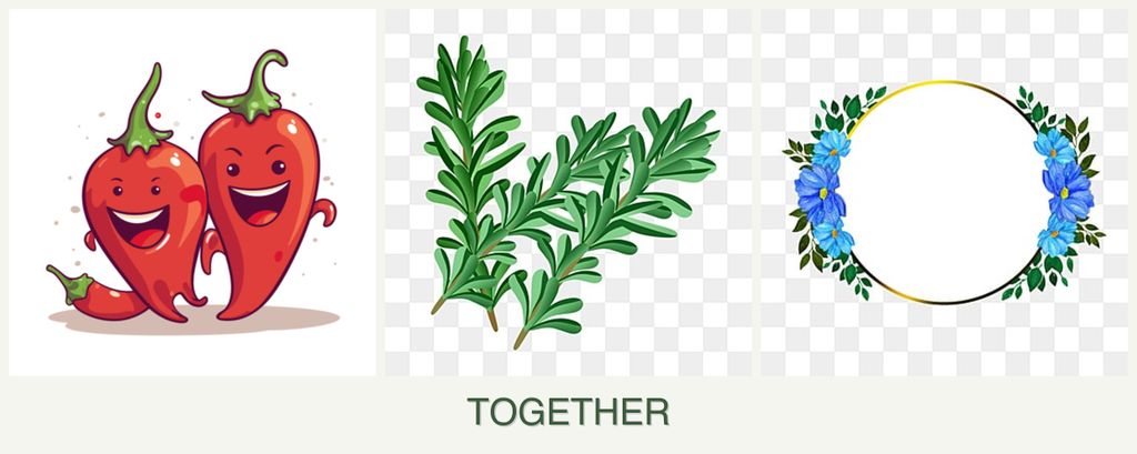 Can you plant peppers, rosemary and zinnias together?