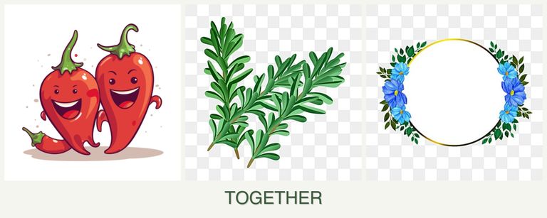 Can you plant peppers, rosemary and zinnias together?