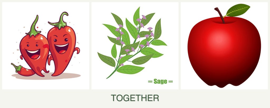 Can you plant peppers, sage and apples together?