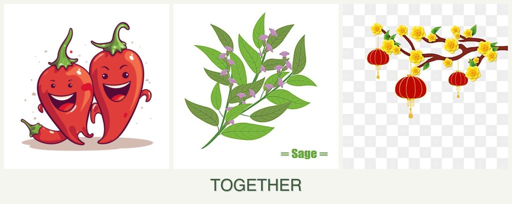 Can you plant peppers, sage and apricots together?