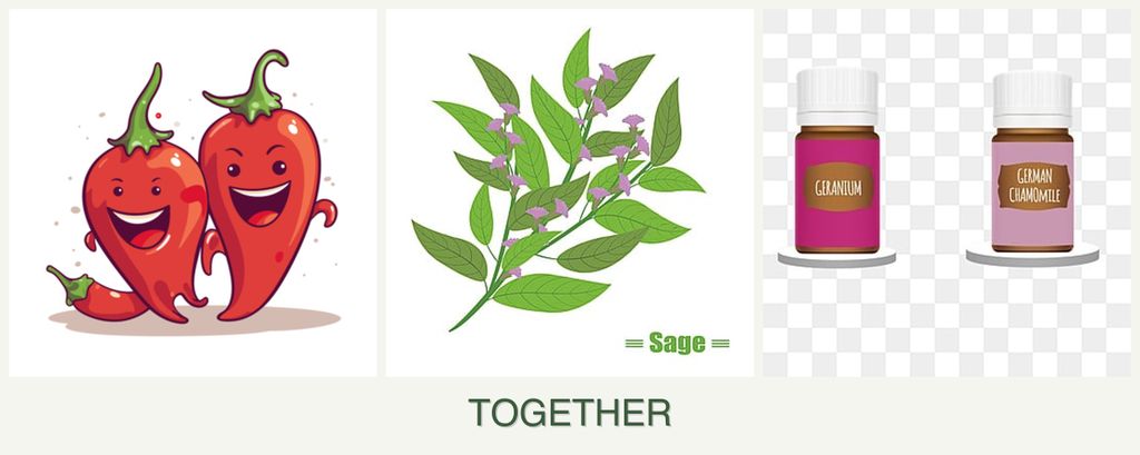 Can you plant peppers, sage and geraniums together?