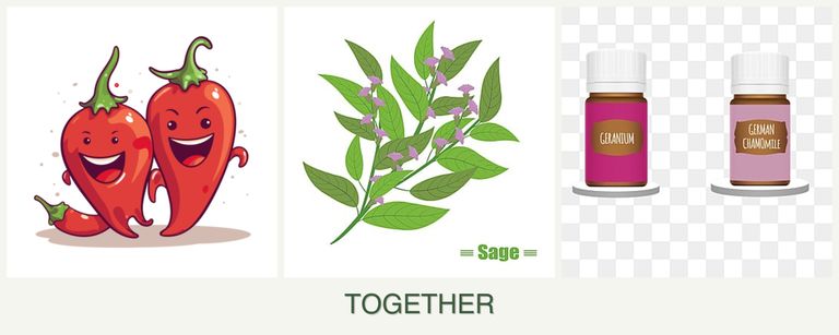 Can you plant peppers, sage and geraniums together?