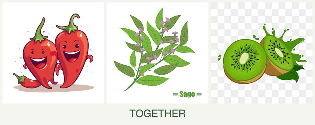 Can you plant peppers, sage and kiwi together?