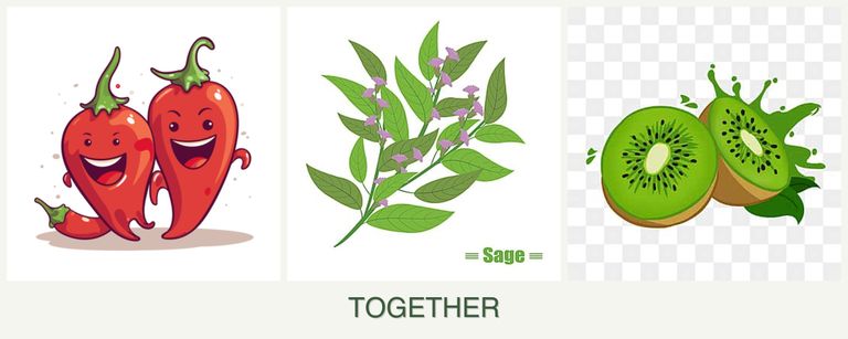 Can you plant peppers, sage and kiwi together?