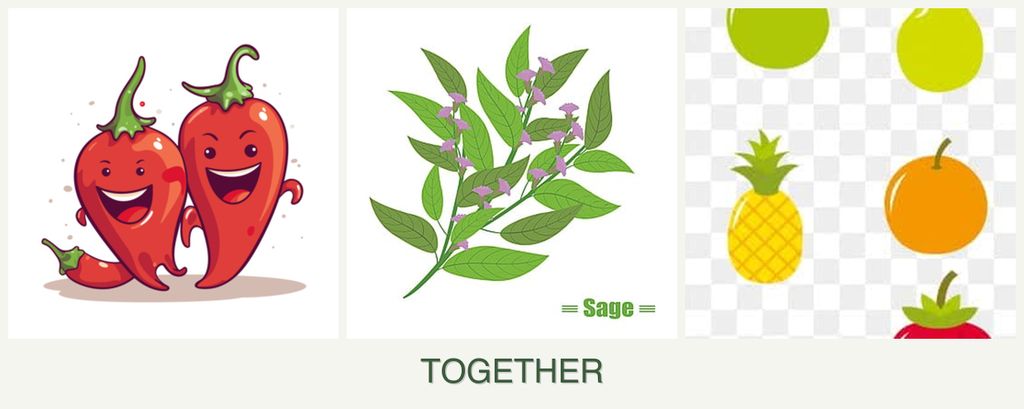 Can you plant peppers, sage and pears together?