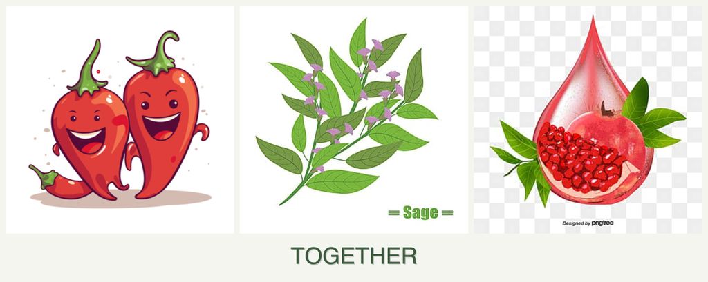 Can you plant peppers, sage and pomegranates together?