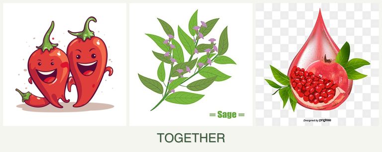 Can you plant peppers, sage and pomegranates together?