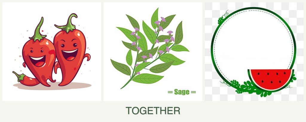 Can you plant peppers, sage and watermelons together?