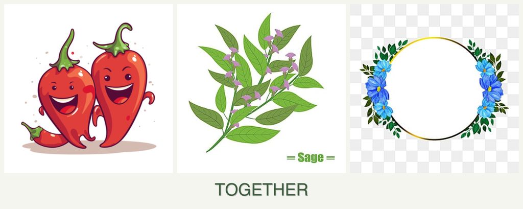 Can you plant peppers, sage and zinnias together?