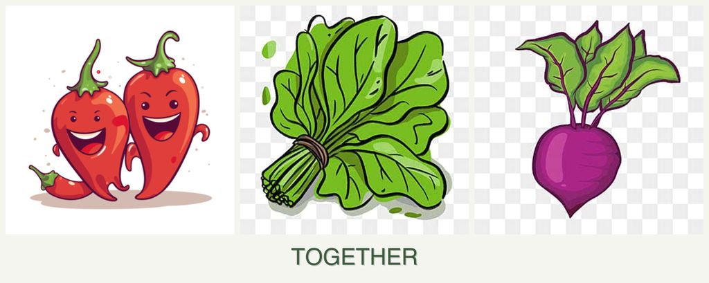 Can you plant peppers, spinach and beets together?