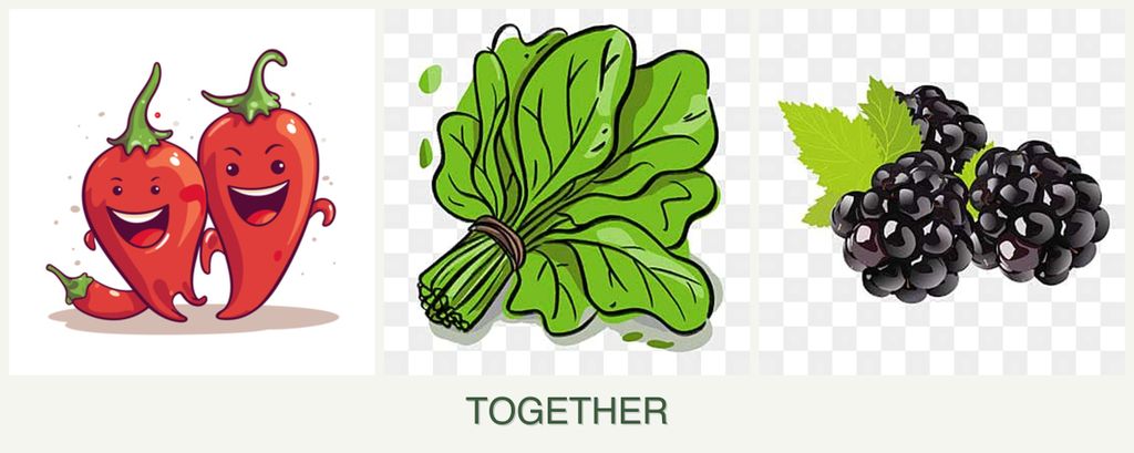 Can you plant peppers, spinach and blackberries together?