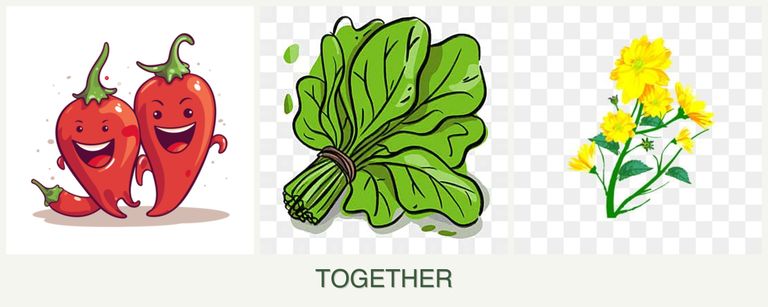 Can you plant peppers, spinach and calendula together?