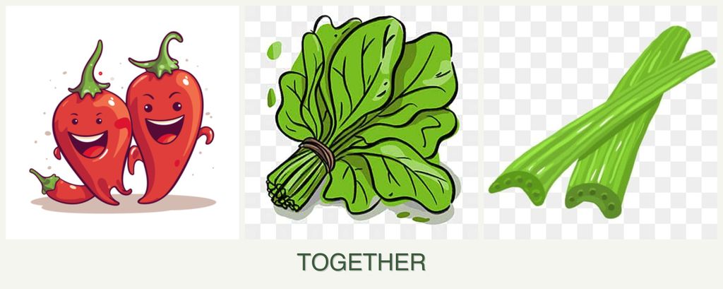 Can you plant peppers, spinach and celery together?