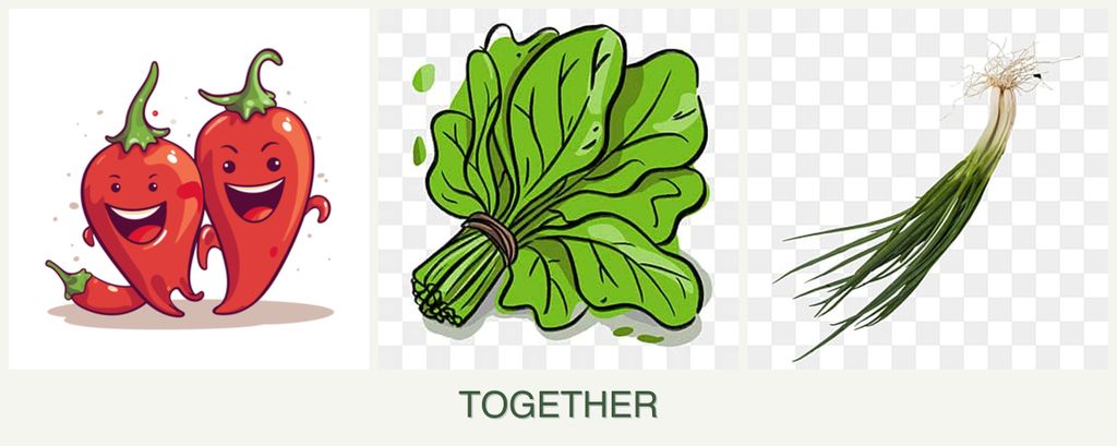 Can you plant peppers, spinach and chives together?