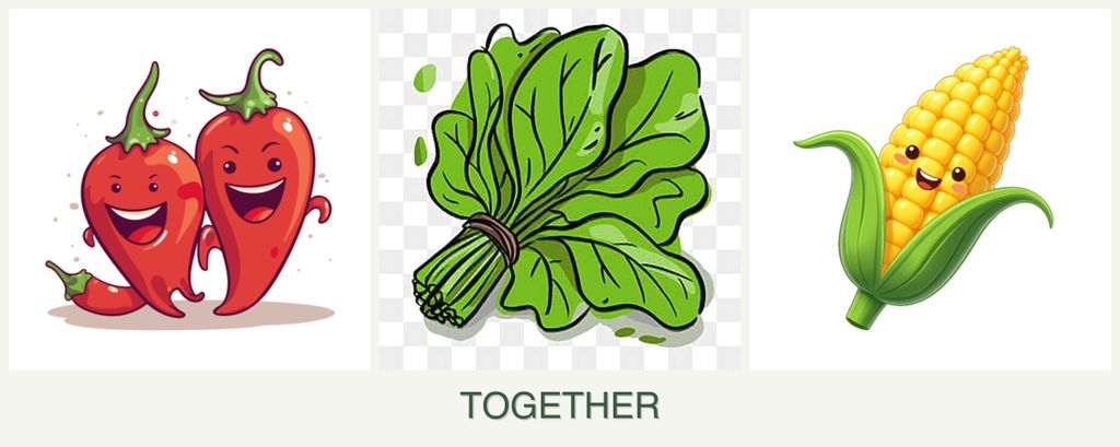 Can you plant peppers, spinach and corn together?